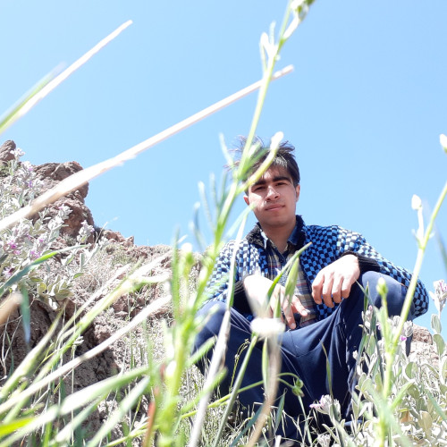 Nima A. profile photo