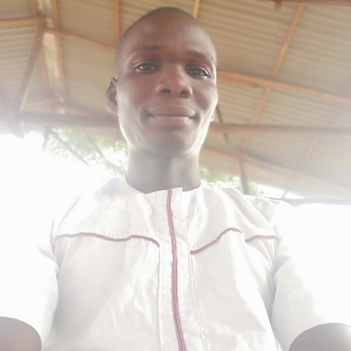 Olugbemi G.