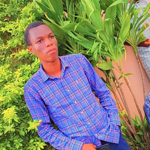 Ibrahim  o. profile photo