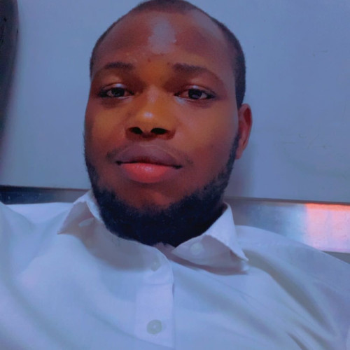 Oluwasina A. profile photo