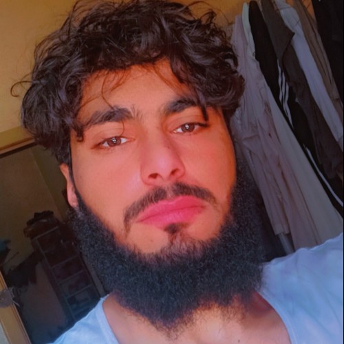 وسام ا. profile photo