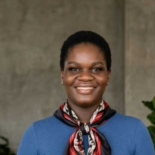 kia m. profile photo