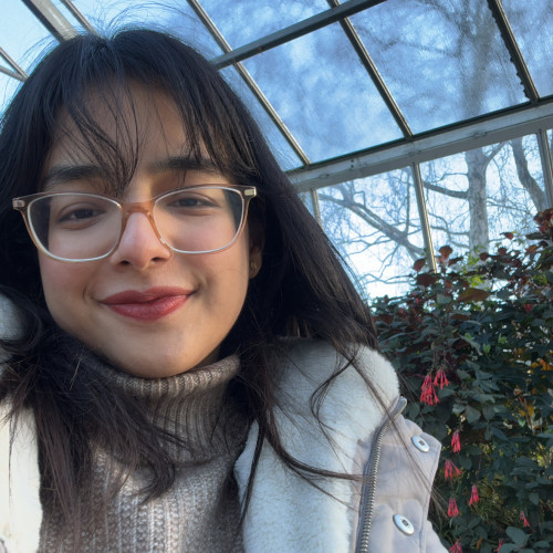 Alina N. profile photo