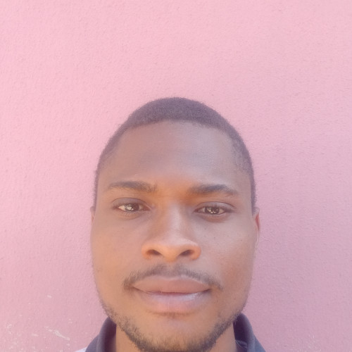Tims N. profile photo