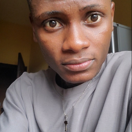 Azubuike  N. profile photo
