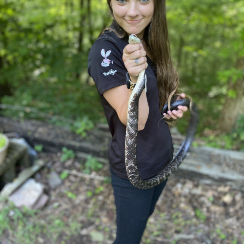 Megan A. profile photo