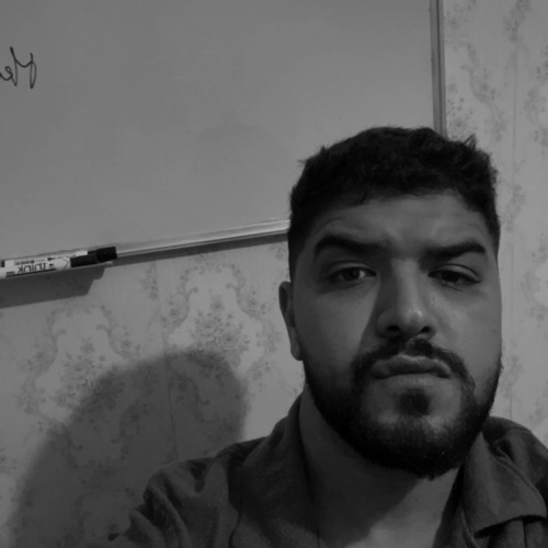 Amine N. profile photo