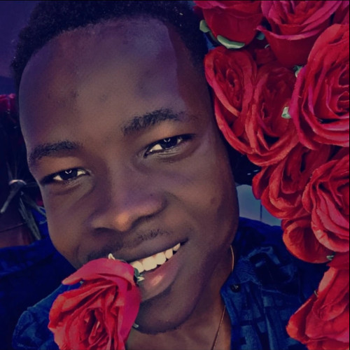 Oluwadamilola F. profile photo