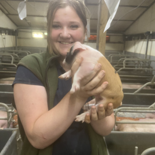 Sophie S. profile photo