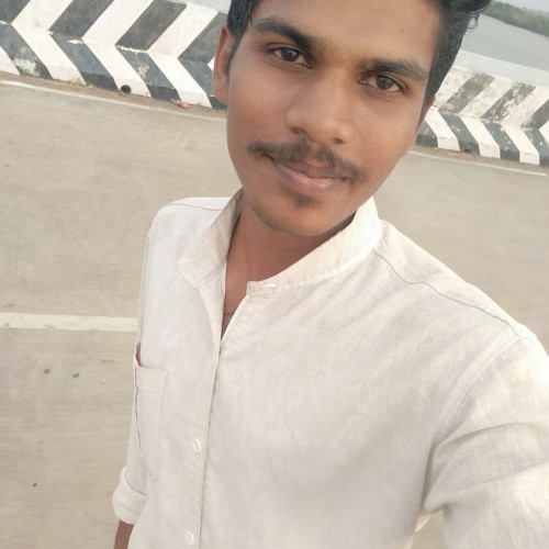 Dinesh P.