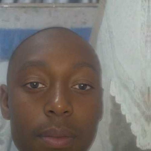 Eric n. profile photo