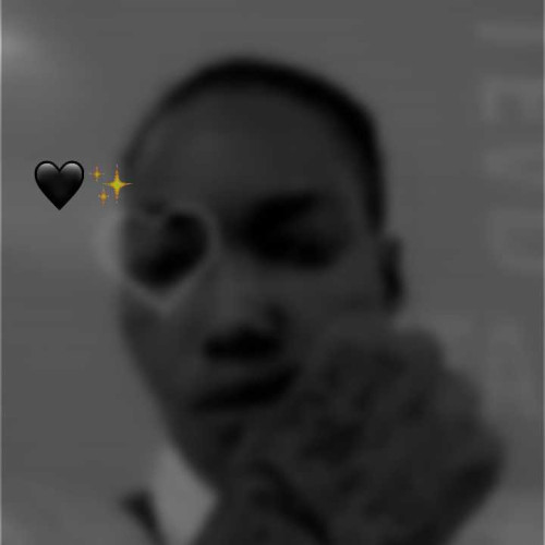 shaneice s.