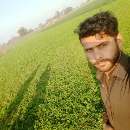 Ghulam R. profile photo