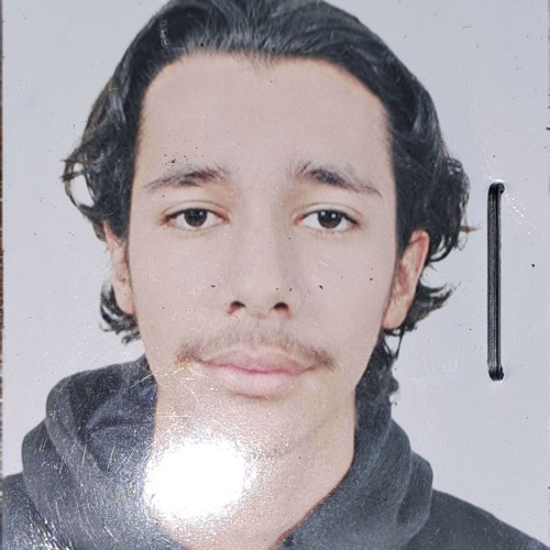 Yassine F. profile photo