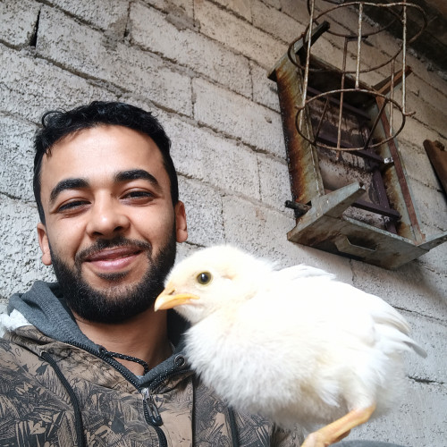 Ayoub K. profile photo