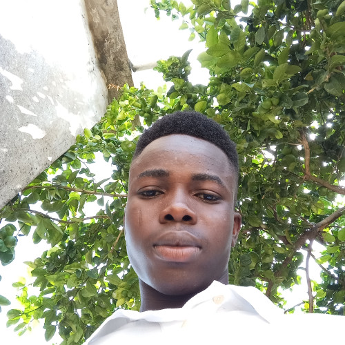 Olamide  O. profile photo