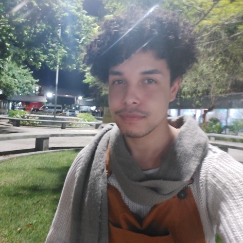 Palu A.