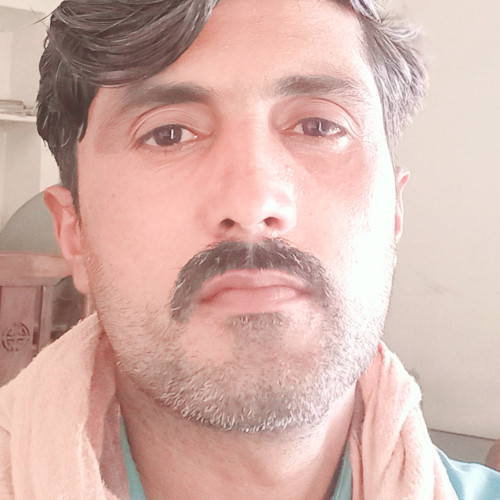 Muhammad  A. profile photo