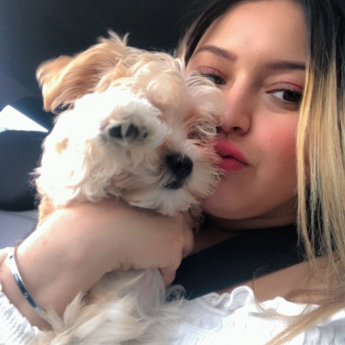 Ghizlane Z. profile photo