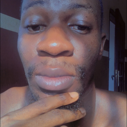 Ebimor A. profile photo