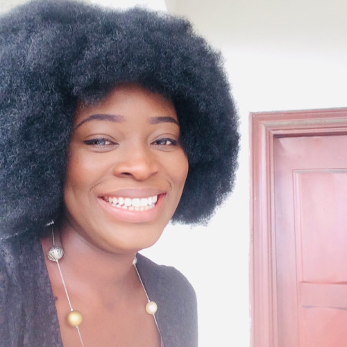 Ibebidamiobhedo O. profile photo