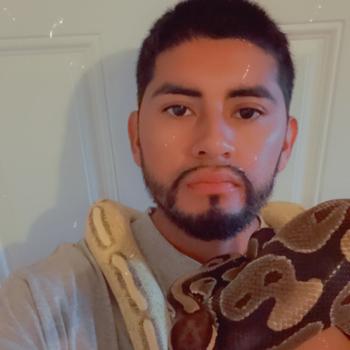 Virjinio R. profile photo