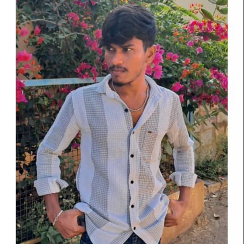 raju r. profile photo