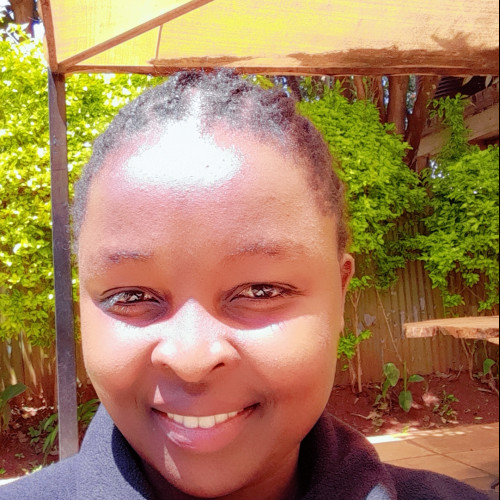Sarah N. profile photo