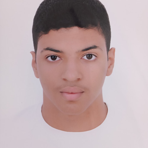 Hamza B. profile photo