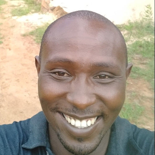 nicholas k. profile photo