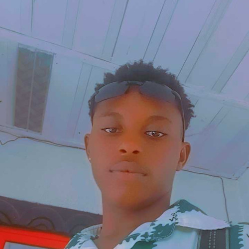 fidelis m. profile photo