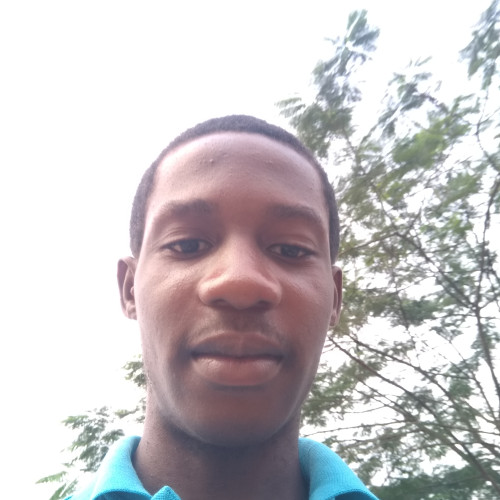 Franklin  M. profile photo