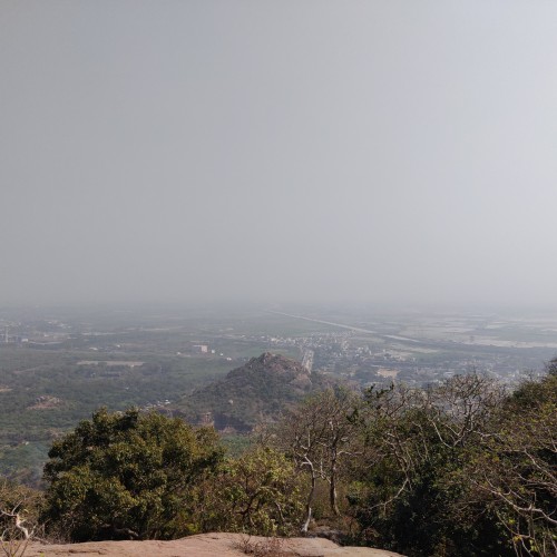 krishna b.