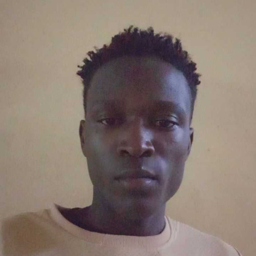 Austine O. profile photo