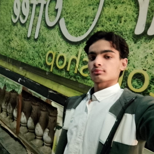 Noor A. profile photo