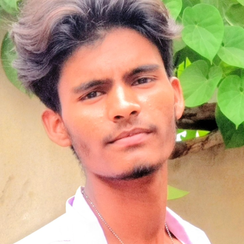 King  B. profile photo