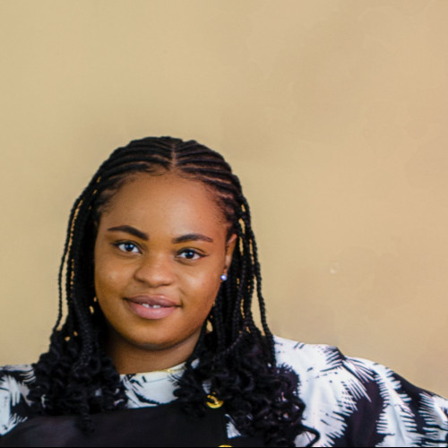 Tomisin O. profile photo