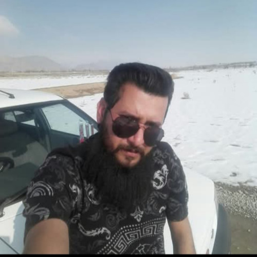 payam  M. profile photo