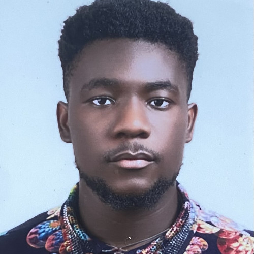 Ikechukwu n. profile photo