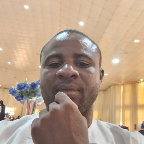 Olaoluwa  A. profile photo