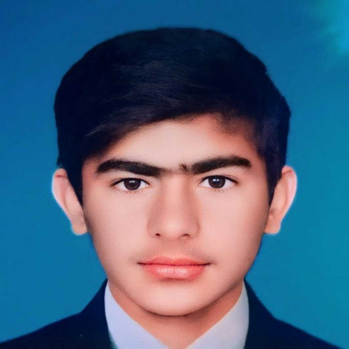 Ali H. profile photo