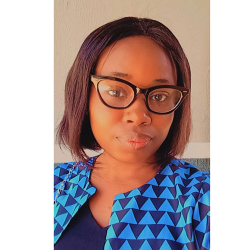 Feyisola O. profile photo
