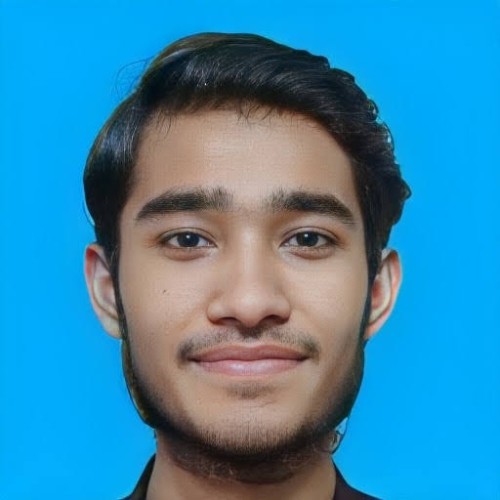 Hamza N.
