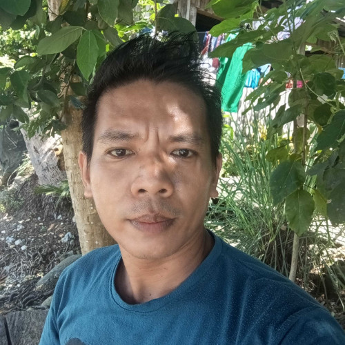 Danecko M. profile photo