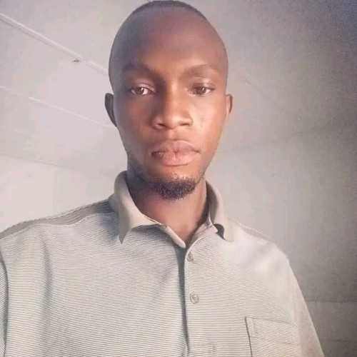 Timi T. profile photo