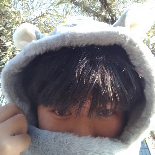 Prabhash  R. profile photo