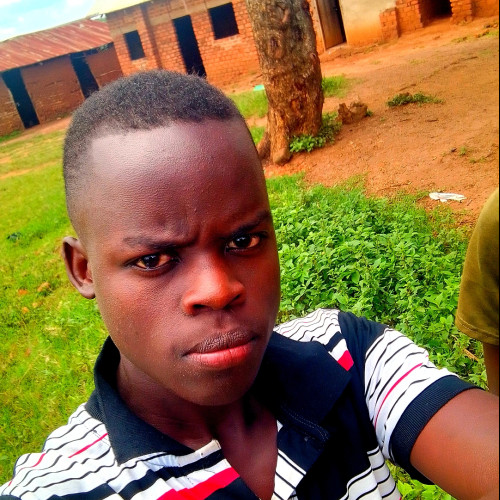 Ostone  C. profile photo