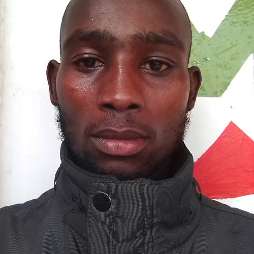 Ray M. profile photo