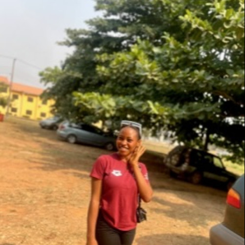 Iyinoluwa  A. profile photo