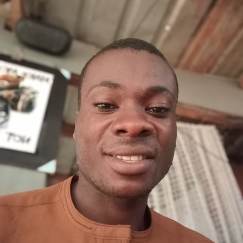 Ifeanyichukwu O. profile photo